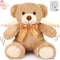 Liliful Remembrance Bow Bear Plush, 12 Inch Brown Soft Doll with Recorder for Gifts