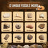 Byncceh Fossil Dig Kit - Educational STEM Science Toys for Kids Ages 6+ - Dig Up 12 Real Fossils & Dinosaur Bones