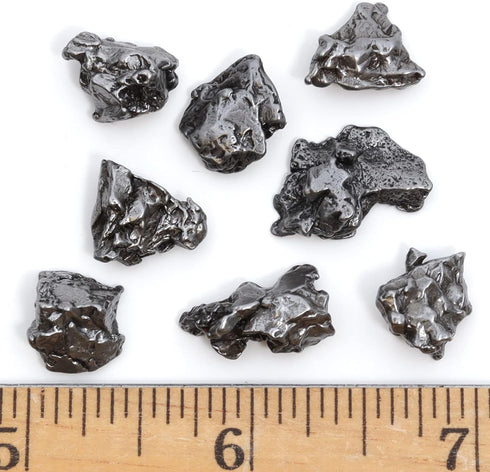 DANCING BEAR Meteorite from Space, 5 pcs Campo del Cielo from Argentina/Educational Card & Magnifying Box