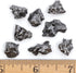 DANCING BEAR Meteorite from Space, 5 pcs Campo del Cielo from Argentina/Educational Card & Magnifying Box