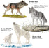 14PCS 3 4 5 6 7, Wolf Toy Animal Figurines, Realistic Plastic Zoo Safari Animal Toys for Toddlers Forest Wolf Animals