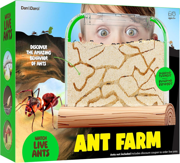Ant Farm Kit for Kids, Educational Science Gifts, Bug Terrarium House for Boys, Girls & Adults