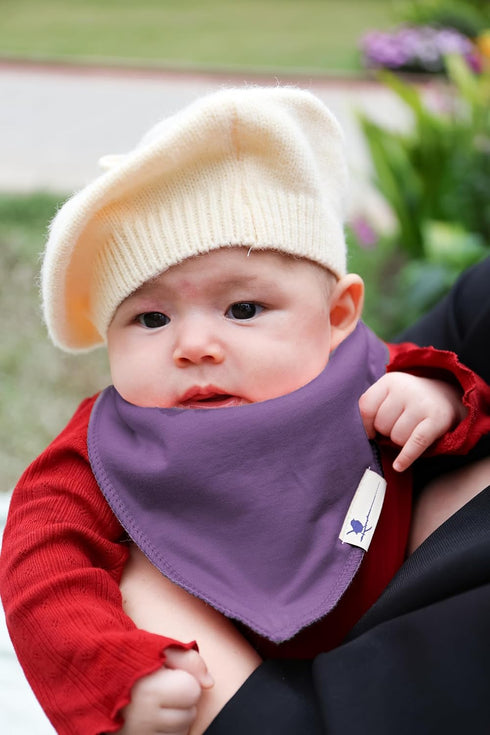 Blue Wren Baby Co 5-pack Magnetic Bandana Drool Bibs - Magnetic Closure Baby Bibs - Safe, Easy, Chic Teething Bib