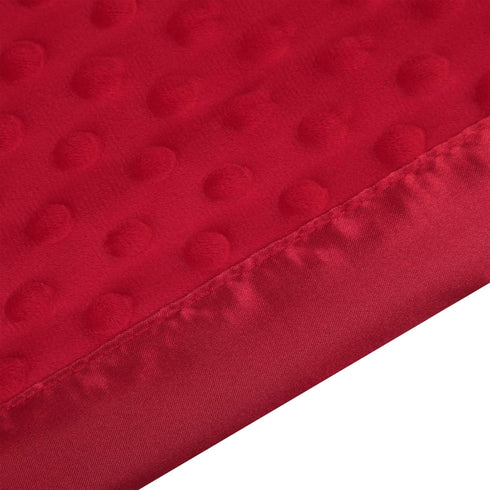 30 40) Pro Goleem Baby Soft Minky Dot Blanket with Silky Satin Backing Baby Gifts for Boys and Girls (Red, x