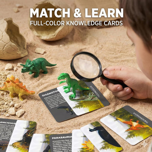 36-Pack 3-12 Uregoio Dinosaur Eggs Dig Kit, Surprise Dinosaur Eggs Excavation Kit with Magnifier, Science STEM Toys