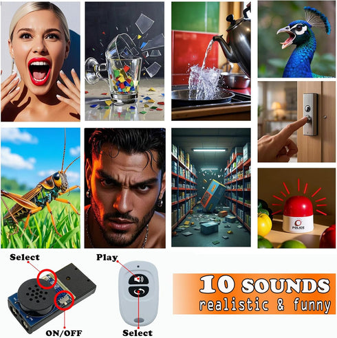 YueFeiAud Cricket Noise Maker Prank with Remote Control, Hidden Pranks at Party, Office, Home, School, Car for Adults