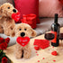 Dog Plush Stuffed Animal Puppy Dog with Heart, I Woof You Gifts, Cute Heart Dog Toys, 11.8 Inch
