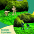 200PCS Army Men Toy Soldiers, Plastic Action Figures, 10 Poses Yellow and Green Soldiers Playset