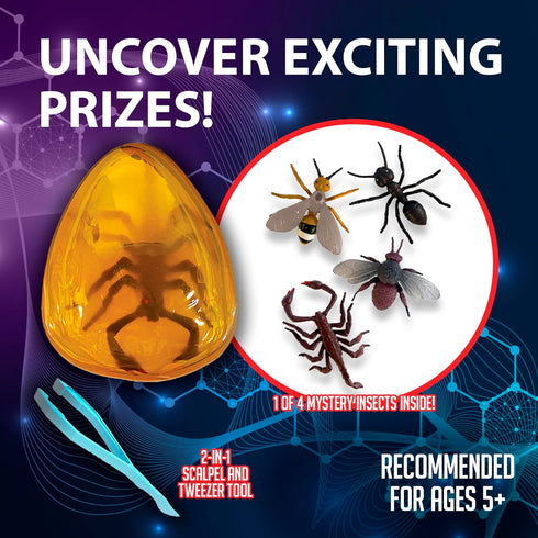 5 Discover-It Dissection Kit for Kids, Synthetic Amber Science Lab Kit to Learn About Insects, Science Toys for Kids