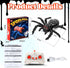 Nurcazo 3+ Remote Control Spider, Wall Climbing Spider with LED Red Eyes, Climbs Smooth Walls & Ceilings, RC Creepy