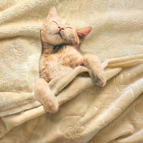 3D 30x40 Inch, BORITAR Printed Animal Baby Blanket Ultra Soft Fleece Blankets for Boys Girls, Warm and Lightweight