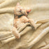 3D 30x40 Inch, BORITAR Printed Animal Baby Blanket Ultra Soft Fleece Blankets for Boys Girls, Warm and Lightweight