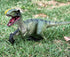Gemini&Genius Velociraptor Dinosaur Toy for Kids, Raptor Dinosaur Action Figure, Party Supplies, Dino Collection Toy, Dinosaur Play & Display, Gifts, Room Decoration for Kids and Dino Lovers
