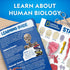 National Geographic Human Body Model for Kids, 32-Piece Interactive Anatomy Model with Bones, Organs, Muscles, Stand