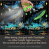 Glow in The Dark Scratch Art Rainbow Painting Paper 8 Sheet with Pen / Cleaning Brush, Engraving Landscape Scratchboard(A4) for Kids Teens & Adults, Fun Sketch Card Creative Craft Toy (Animal) by AP ARTSPER