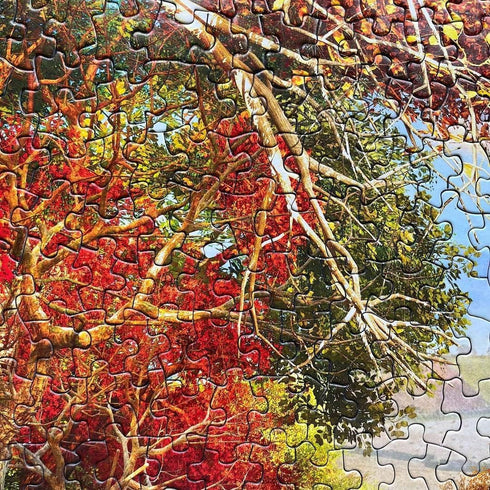 Springbok Autumn Barn 1000 Piece Jigsaw Puzzle Illustration of Classic Barn and Farm House in Fall
