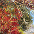 Springbok Autumn Barn 1000 Piece Jigsaw Puzzle Illustration of Classic Barn and Farm House in Fall