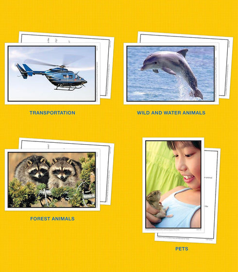 Key Education 160 Early Learning Toddler Flash Cards, Ages 3+, Vocabulary for Speech Therapy