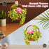 Set, (691 SATHIBI Flower Bouquet Building Flowers Basket Bonsai Plants with Light, Botanical Collection Wall Decor