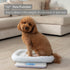 BY82 396lbs, 4 Beurer Multifunctional Baby Scale for Infants, Pets, Kids, & Adults up to Measures in Units with Backlit
