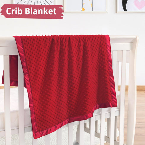30 40) Pro Goleem Baby Soft Minky Dot Blanket with Silky Satin Backing Baby Gifts for Boys and Girls (Red, x
