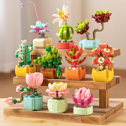 10 Pack Set 990 Sawaruita Succulent Mini Plant Building Blocks for Adults - Pcs Flower Botanical Collection Home Office