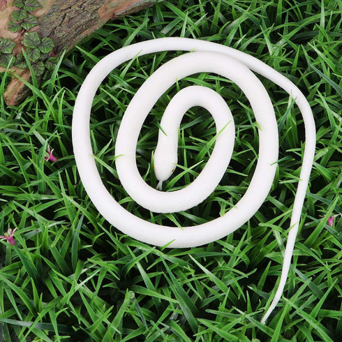 TOYANDONA Realistic Rubber Snake Toy - White Fake Lifelike Educational Prank Prop
