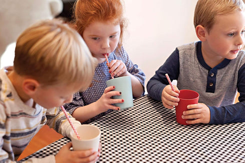 Red Rover Bamboo Kid's Cups Set of 4, Multicolor Bamboo Cups