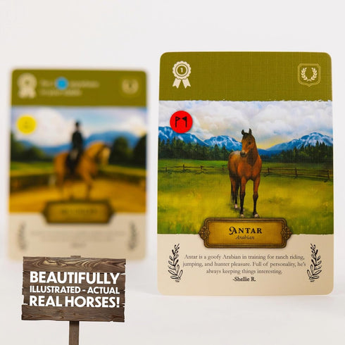 Cozy 8+, 1-5 20-30 Stable Times Family Card Game - Board Game for Kids and Adults with Real Unique Horses - Great
