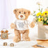 A Bear Hug Get Well Soon Gift, Plush Stuffed Animal for Sympathy (Khaki)