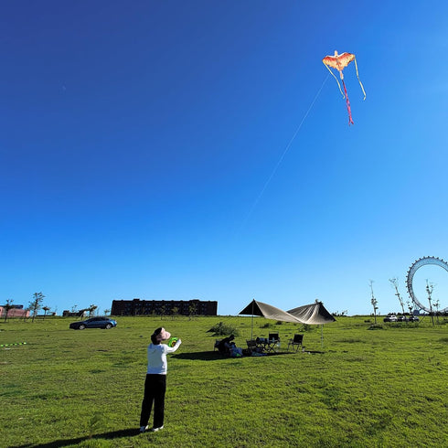 Mint's Colorful Life Dragon Kite for Kids & Adults, Best Beach Kites for Beginners, Easy to Fly, 300ft Kite String