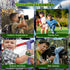 Dinosaur Walkie Talkies for Kids, 2 Way Radios for Boys & Girls Ages 3-12, Long Range Outdoor Adventure Gifts