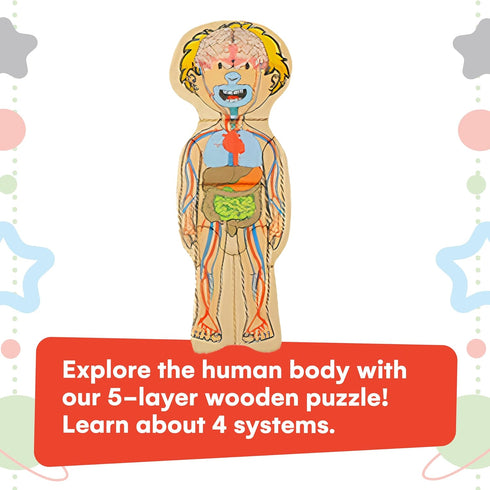 Kidzlane Boy Wooden My Body Puzzle for Toddlers & Kids - 29 Piece Boys Anatomy Puzzle Kid Play Set - Anatomy for Kids, Skeleton Toys for Kids Ages 3 Plus