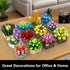 Sets, 12 (1174 Flowers Succulents Building Tiny Plants, Office Home Decor Botanical Collection Building Block Toy