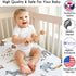 Sweet Jojo Designs Fitted Baby Crib Sheets (Jungle Safari Animals) for Boys or Girls, Infant Nursery, Toddler Room