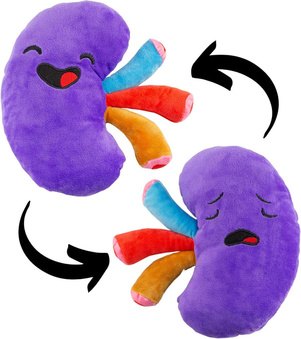 Plush Kidney Stuffed Body Organ Toy for Get Well Gift, Health Education and More