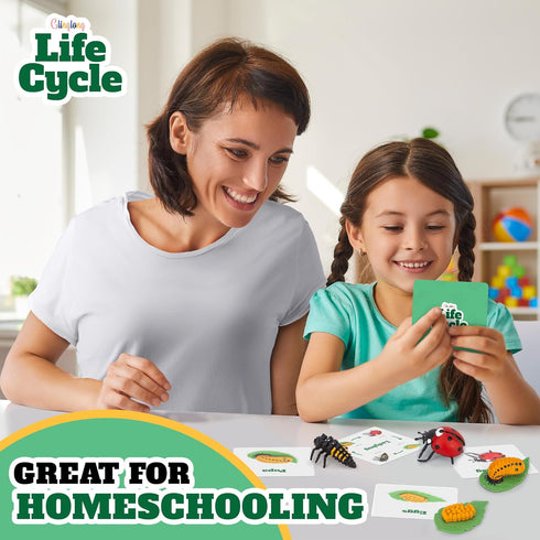 Life Cycle Kit Toy Science Montessori, Realistic Figurine Toys for Kids, Easter Basket Stuffers for Ages 3-9