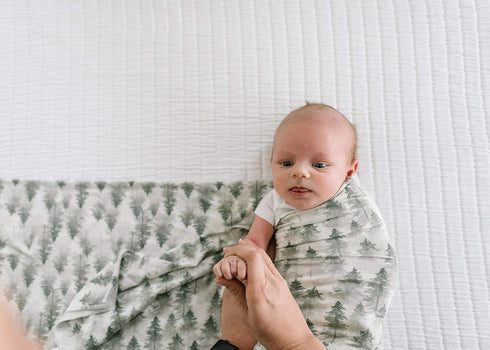 Evergreen Large Premium Knit Baby Swaddle Blanket by Copper Pearl