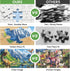 VOLUVOLU 300 300 Entertainment(20.5 15 Pieces Dinosaur Puzzles for Adults, Lake Animals Puzzle for Adults Children