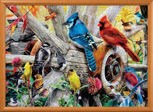 MasterPieces 1000 Piece Jigsaw Puzzle for Adults, Family, or Youth - Backyard Birds - 19.25"x26.75"