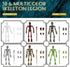 6 Pack T13 Set, Dummy 13, 13 3D Action Figures Skeleton Action Figure, Titan Mini Skeletons, Action Figures for Boys