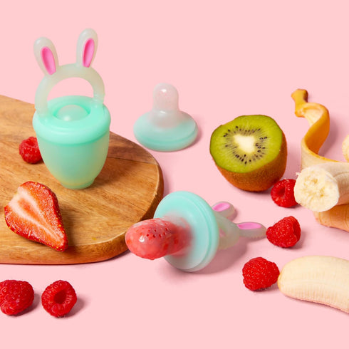 Frozen 2 Set 4M+ Vesta Baby Fresh + Food Feeder - Sizes Soft Silicone Push Pop Fruit Nibbler for Safe Infant Self