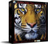 SUNSOUT INC Golden Tiger Face Jigsaw Puzzle, 1000 pc by Artist Jurek, Finished Size 26" x 26", MPN# 58628