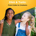 Yellow Scope Science Kit for Kids | DNA & Traits from Codes to Creatures Kit for Ages 8-12 | STEM Learning Toys
