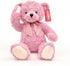 20" suepcuddly Posed Teddy Bear Stuffed Animal Cute Plush Toy for Girl Kids (Pink)
