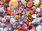 500 Pieces Jigsaw Puzzles for Adults, Colorful Beach Shells, Recycled Paper, Glossy, Sturdy Pieces, Great Gift Idea.