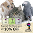 About Cats Fun Trivia Game for Cat Lovers - Cat Themed Game for All Ages with 150 Cat Trivia Cards