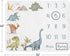 Set Sweet Jojo Designs Watercolor Dinosaur Dino Boy Baby Milestone Blanket Newborn Monthly First Year Photo Growth