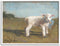 Stupell Industries Farmhouse Baby Lamb Painting, Framed Giclee Art by Sara Baker
