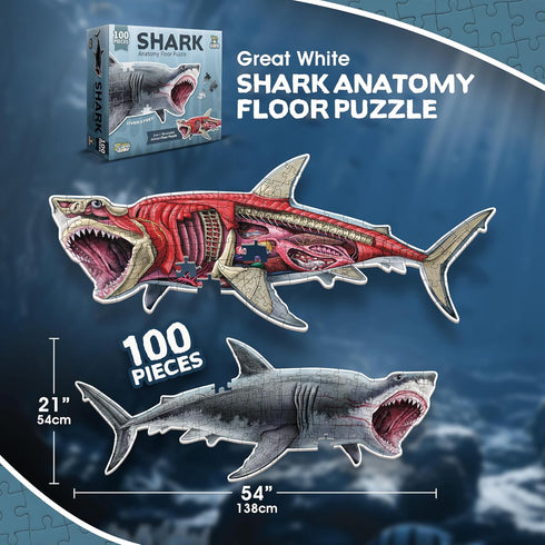 100-Piece 4-8, 3-5, 8-10 Shark Animal Anatomy Floor Puzzle | Double Sided Jigsaw Puzzle | Large Floor Puzzles for Kids
